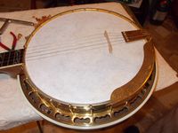 Skin head mounted on a Ode, model D banjo - Bart Veerman, http://banjobridge.com